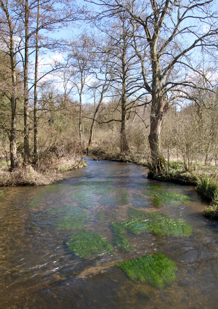 Panshanger Park Herts and Middlesex Wildlife Trust